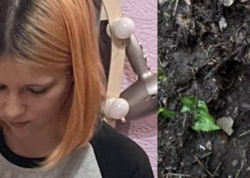 Собака вышла на след пропавшей после удара в Туапсе Леры: что известно сейчас