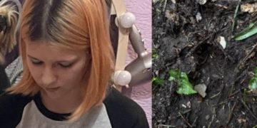 Собака вышла на след пропавшей после удара в Туапсе Леры: что известно сейчас