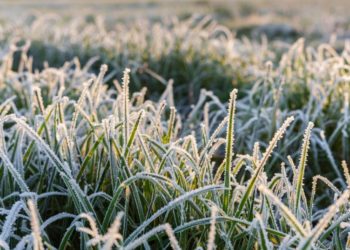 Синоптики Краснодарского ЦГМС рассказали о погоде на 15 апреля