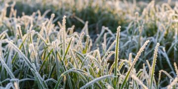 Синоптики Краснодарского ЦГМС рассказали о погоде на 15 апреля