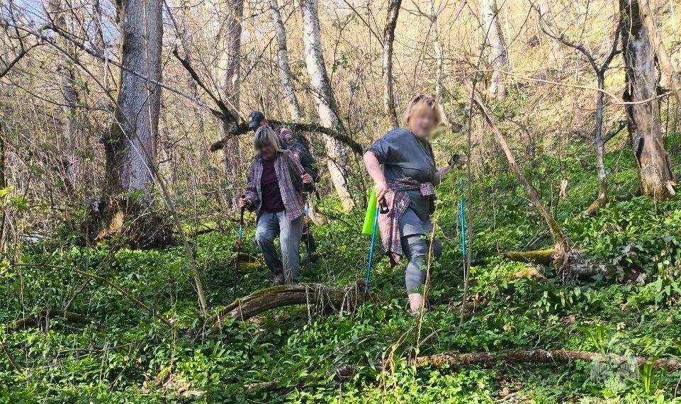 В Сочи спасли двух заблудившихся туристок из Москвы