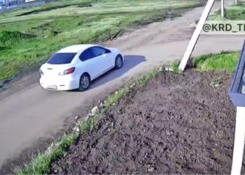 Краснодарцы рассказали о мужчине, который привез кота на растерзание псам