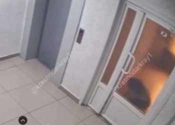 В краснодарском подъезде нашли куски сосисок с ядом