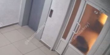 В краснодарском подъезде нашли куски сосисок с ядом