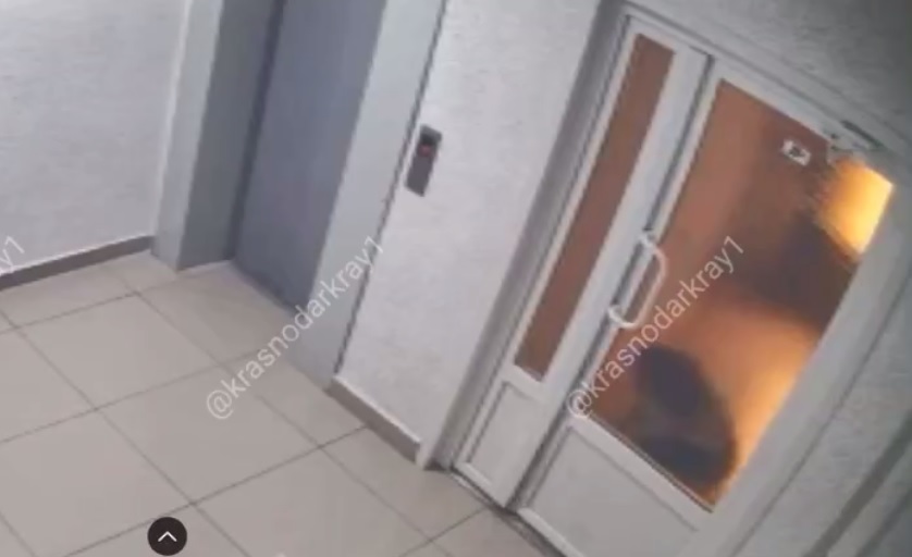 В краснодарском подъезде нашли куски сосисок с ядом