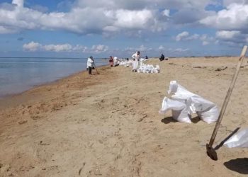 На пляже под Анапой собрали более тысячи мешков грунта с нефтепродуктами