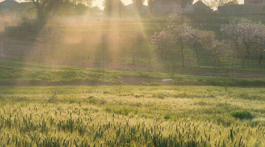 Обнародован прогноз погоды на начало мая в Краснодарском крае