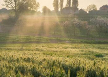 Обнародован прогноз погоды на начало мая в Краснодарском крае