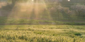 Обнародован прогноз погоды на начало мая в Краснодарском крае