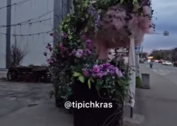 В Краснодаре нашли самую красивую остановку