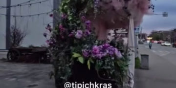 В Краснодаре нашли самую красивую остановку