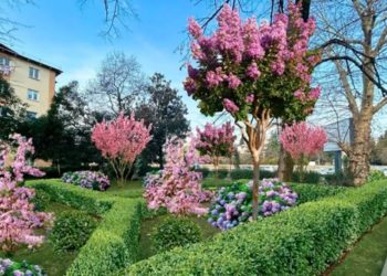 Прошунин: в Сочи благоустроят семь общественных пространств в 2026 году