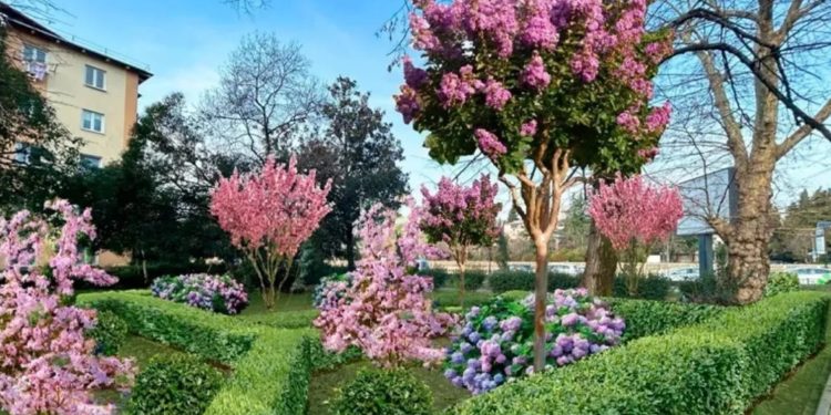 Прошунин: в Сочи благоустроят семь общественных пространств в 2026 году