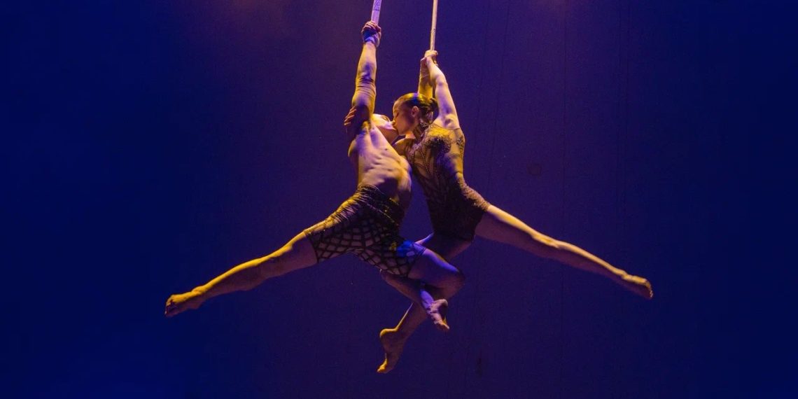 В Сочи Парке откроется сезон с масштабным цирковым шоу «Код неРеальности»