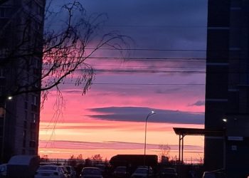 Весна испытывает на прочность: какой будет эта неделя в Краснодаре, Сочи и Анапе