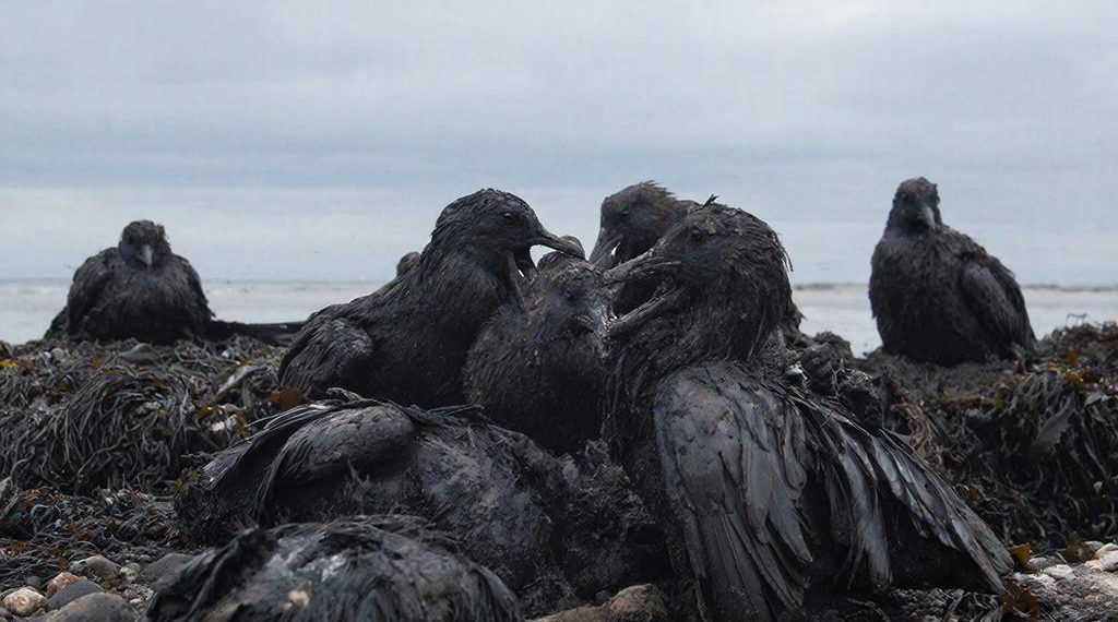 Оперштаб: Новое пятно нефтепродуктов движется к берегу Анапы и Витязево