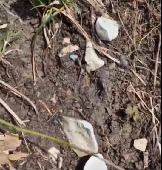 В Туапсе поисковики наткнулись на испражнения Леры, пропавшей после удара БПЛА