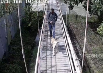 В Сочи мужчина привязал пса к забору с пакетом еды и предательски бросил