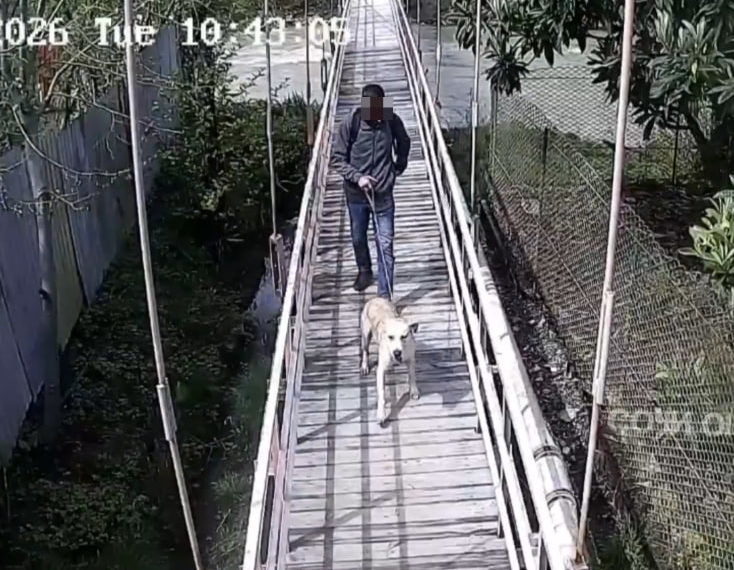 В Сочи мужчина привязал пса к забору с пакетом еды и предательски бросил