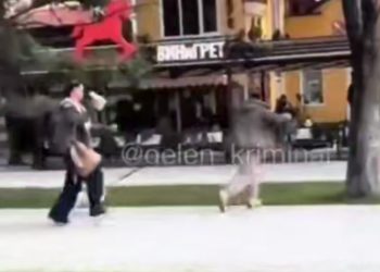 В Геленджике девушка кинула собачьи фекалии в женщину