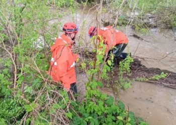 В Белореченском районе подтопило 236 участков, но угрозы для жизни нет