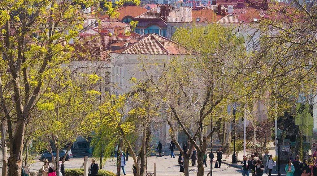 Прогноз погоды на неделю с 6 по 12 апреля на Кубани