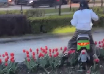 Тиктокерши на скутере повредили клумбы в центре Краснодара