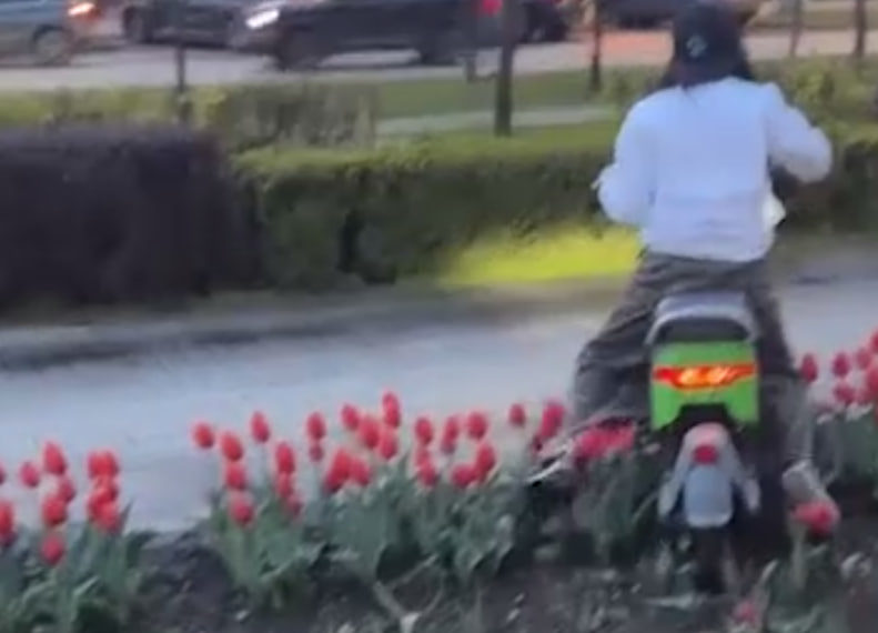Тиктокерши на скутере повредили клумбы в центре Краснодара