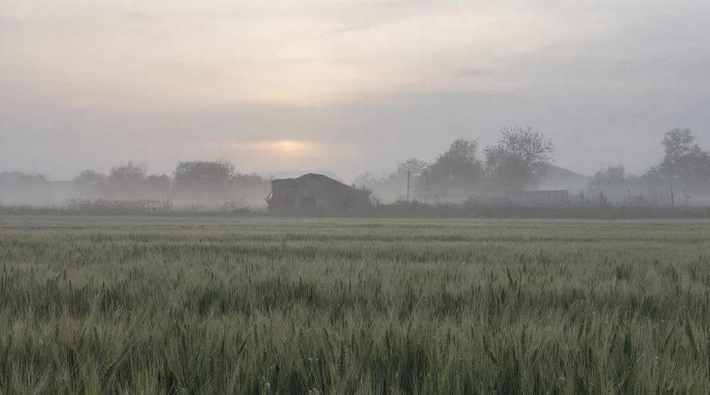 Прогноз погоды на понедельник 13 апреля на Кубани