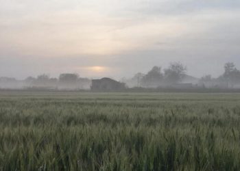 Прогноз погоды на понедельник 13 апреля на Кубани