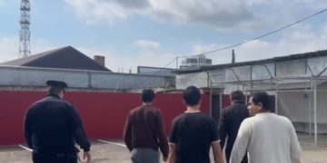 Пойманных на Кубани четверых нелегальных мигрантов выдворят из России