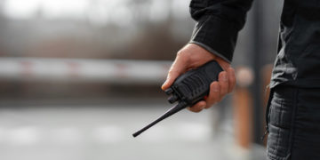 Мужчина из Сочи проведет 6 лет в колонии за сбыт оружия из дупла