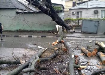 В Новороссийске ликвидируют последствия мощного урагана с порывами до 29 м/с