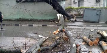 В Новороссийске ликвидируют последствия мощного урагана с порывами до 29 м/с