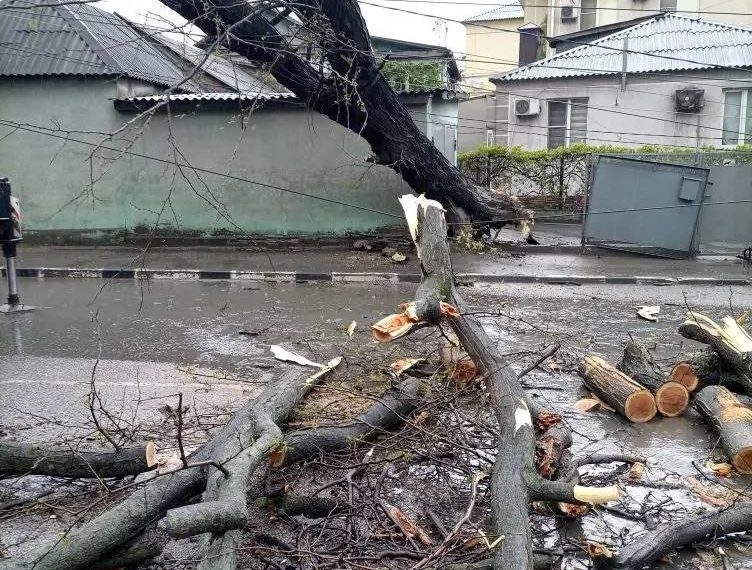 В Новороссийске ликвидируют последствия мощного урагана с порывами до 29 м/с