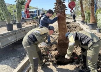 На набережной реки Псезуапсе в Сочи высадили «Сад памяти»