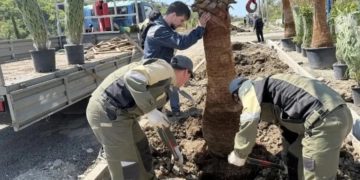 На набережной реки Псезуапсе в Сочи высадили «Сад памяти»