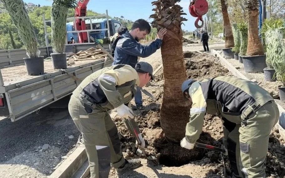 На набережной реки Псезуапсе в Сочи высадили «Сад памяти»