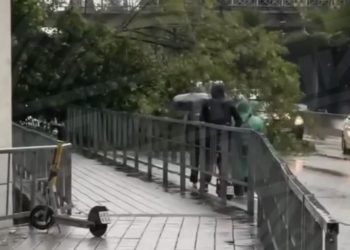 На улице Ленина Сочи дерево упало на дорогу