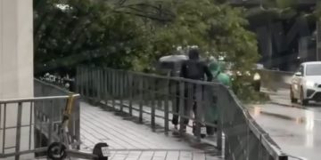 На улице Ленина Сочи дерево упало на дорогу