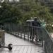 На улице Ленина Сочи дерево упало на дорогу