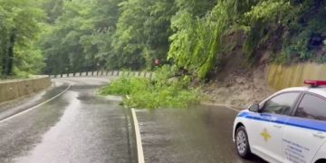 Дерево упало на трассу Джубга – Сочи