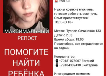 «Снова ожила»: в лесу под Туапсе пропавшая Лера толкнула поисковика и исчезла