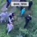 Краснодарцы сообщили о драке с участием 20-30 человек