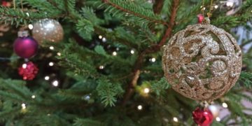 Новогодние каникулы на Кубани сократятся на один день