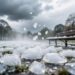 Град размером с абрикос не пощадил клубнику в нескольких районах Кубани