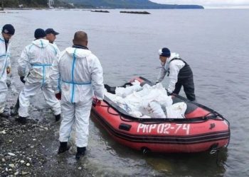 Атаки дронов не помеха: в Туапсе продолжат чистку берега от мазута