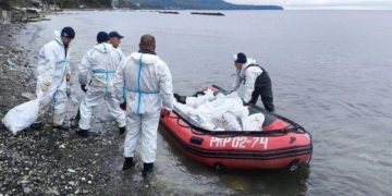 Атаки дронов не помеха: в Туапсе продолжат чистку берега от мазута