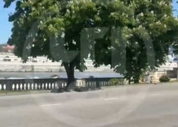 В реке Сочи обнаружили мертвого человека