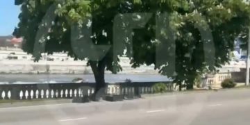 В реке Сочи обнаружили мертвого человека